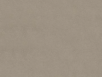 fine grain leather texture (ID:ffaeg02916)