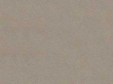 fine grain leather texture (ID:ffaeg02916)