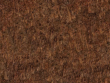 Thatched roof texture (ID:ffaag70034)