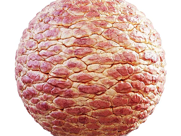 Biological PBR texture (ID:ffach389994)