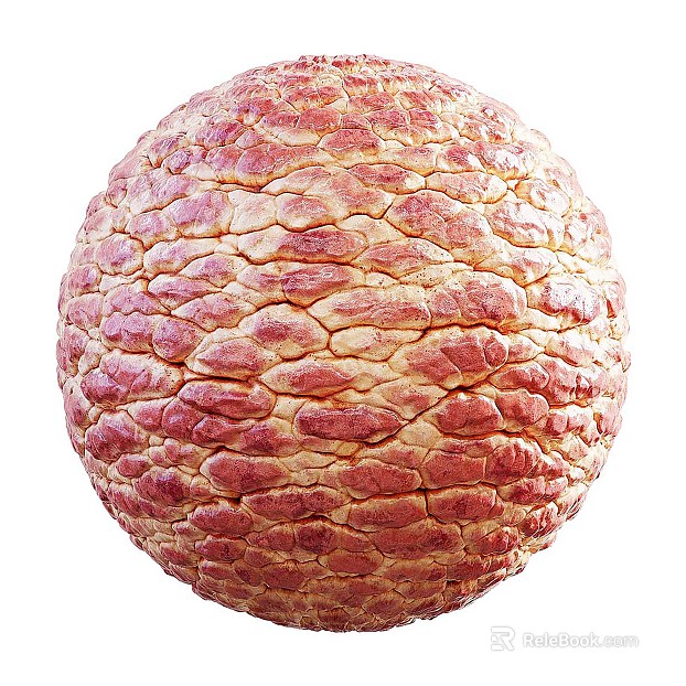 Biological PBR texture