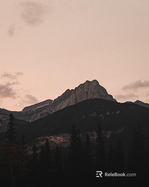 Wild Scenery texture