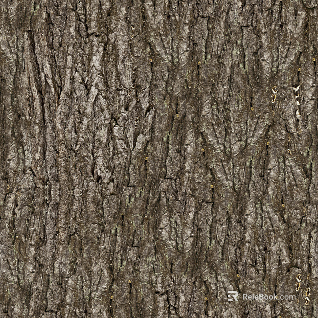 bark texture