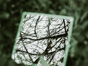 Plant painting texture (ID:ffagg60885)