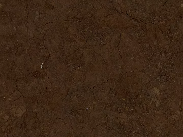 Mud 3d model