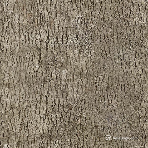 bark texture