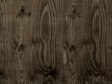 Old wood with dust texture (ID:ffagg93214)