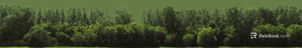 Tree texture