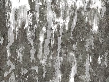 rock seamless texture (ID:ffajg96457)