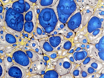 Colorful agate luxury stone texture (ID:ffaag45342)