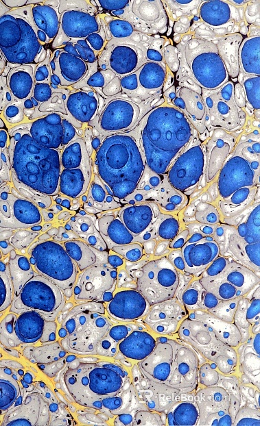 Colorful agate luxury stone texture