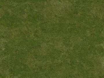 Turf 3d model