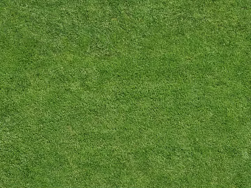 Turf texture (ID:ffagg26428)