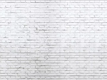 Brick wall enclosing wall black and white texture (ID:ffacf1296)