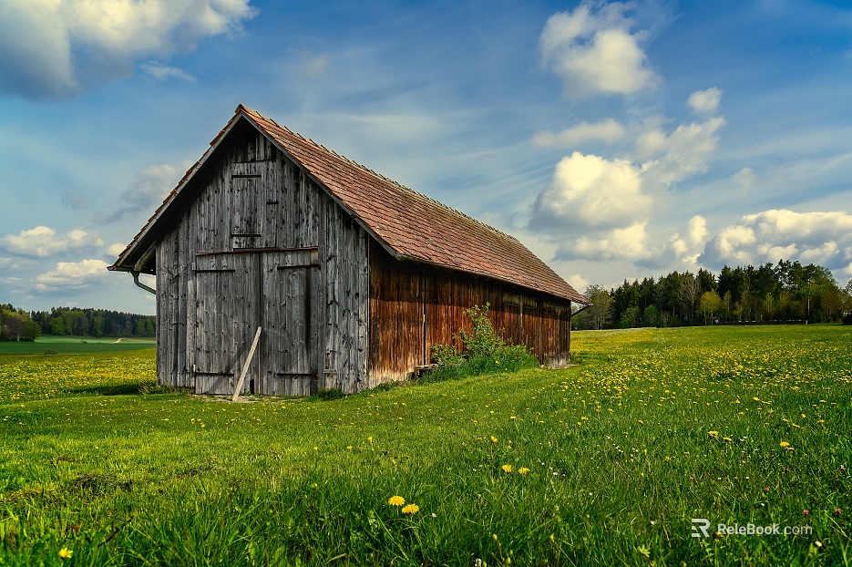 Country Exterior Nature Exterior texture
