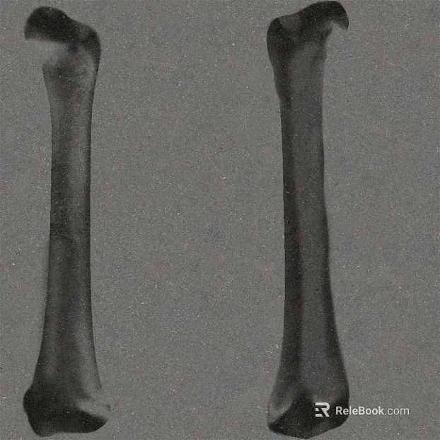 Dark gray bone specimen decoration material texture