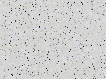 terrazzo seamless texture (ID:ffaeg17137)