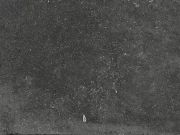 Cement floor texture (ID:ffacg12557)