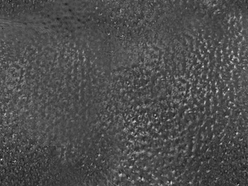 Black and White Bump texture (ID:ffagf3223)