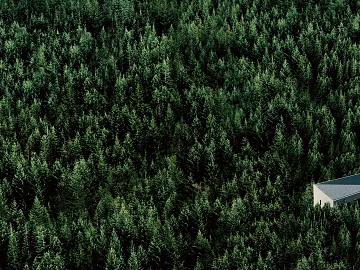 Wild Scenery texture (ID:ffagf1509)