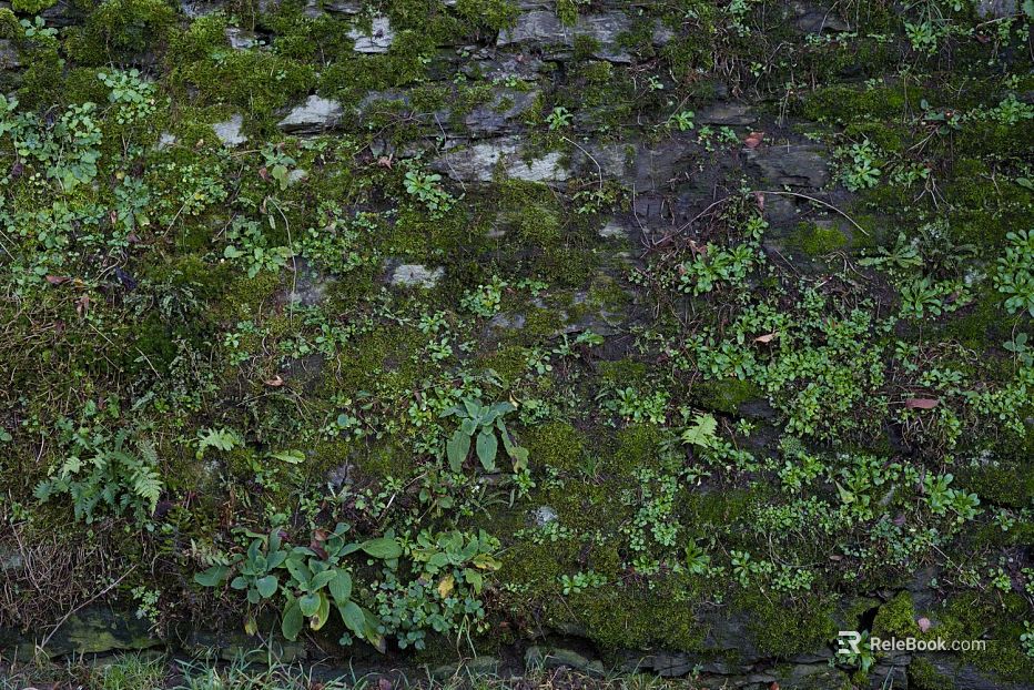 moss texture