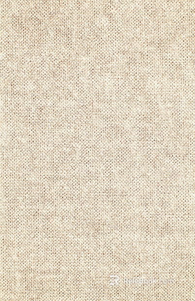 plain cloth texture