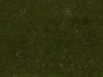 Grassland texture (ID:ffagg40970)
