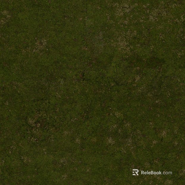 Grassland texture