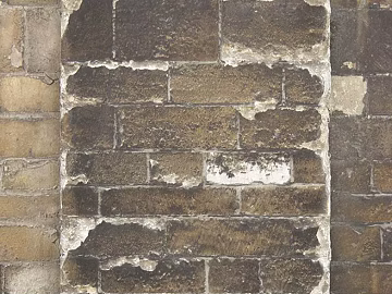Brick wall texture (ID:ffaaf1558)
