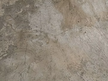 Cement floor texture (ID:ffagg45786)