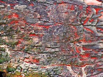 Grey red dilapidated bark natural decoration texture (ID:ffaeh960632)