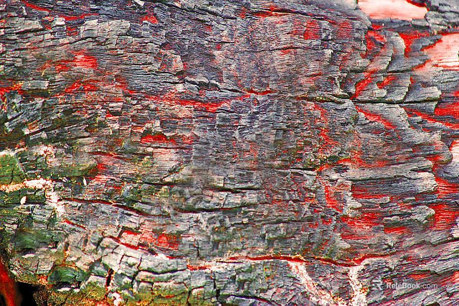 Grey red dilapidated bark natural decoration texture