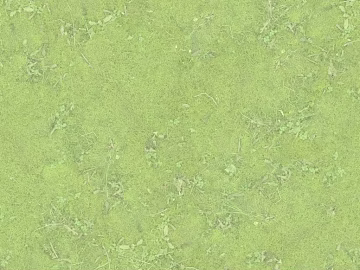 Grassland texture (ID:ffaag02850)