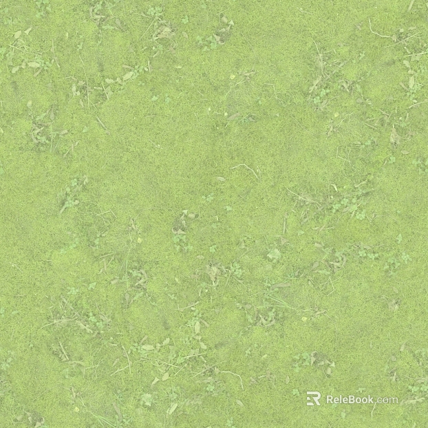 Grassland texture