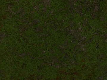 Turf texture (ID:ffacg74225)