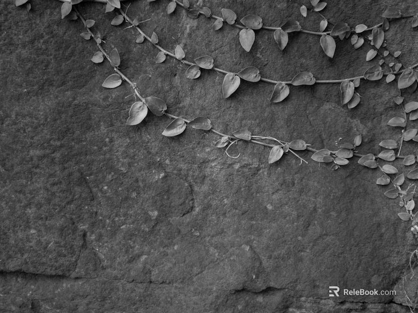 Dark Grey Rock Vine Wall Map texture