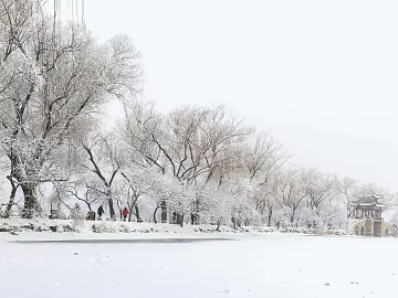 Outdoor snow texture (ID:ffach878235)