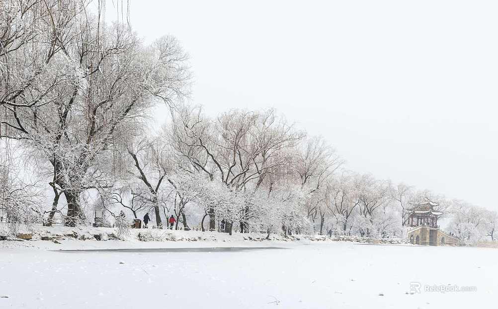 Outdoor snow texture