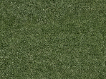 Turf texture (ID:ffacg60973)