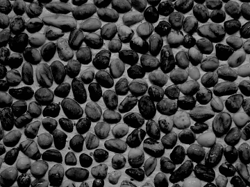 Black and white cobblestone courtyard ground texture (ID:ffaeh480136)