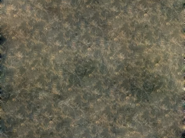 fine grain leather texture (ID:ffaag65684)