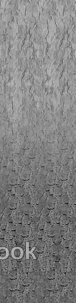 Black and White Bump texture
