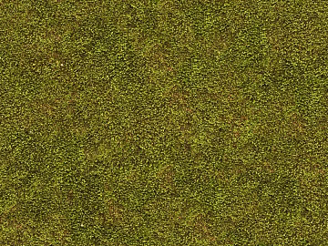 moss texture (ID:ffhad12)