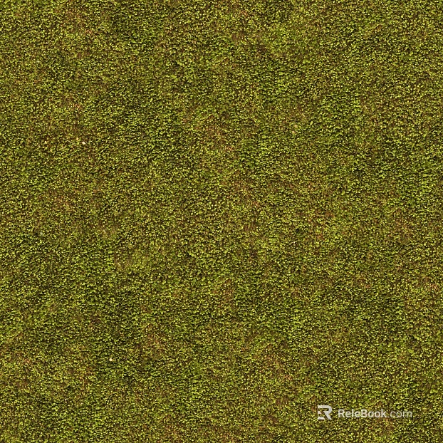 moss texture