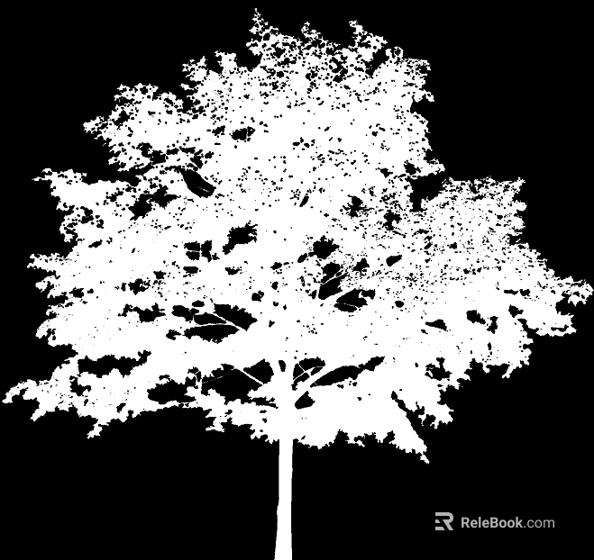 Plant Black and White Map texture