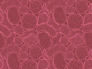 geometric carpet texture (ID:ffajg19394)