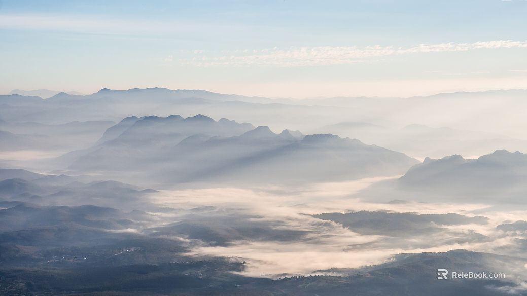 Wild Scenery texture