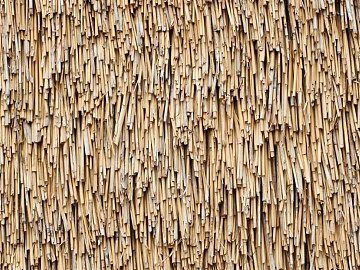 Thatched roof texture (ID:ffagf1660)