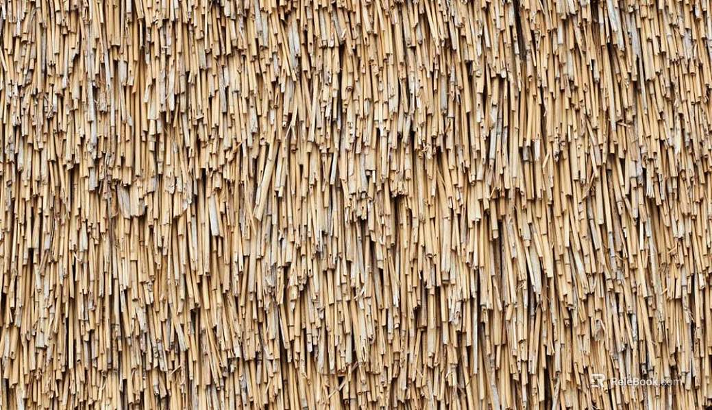 Thatched roof texture