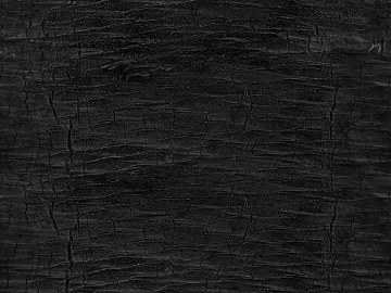 bark texture (ID:ffaeg19748)